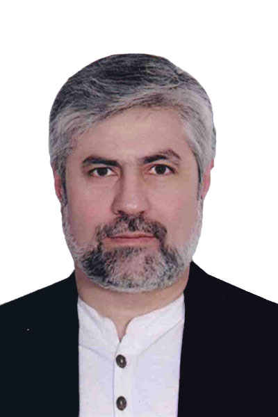 سید محمدحسین احمدی موسوی