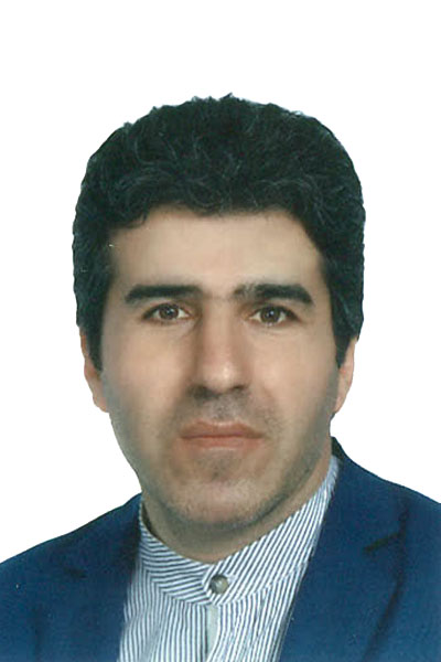 سید مجتبی سبحانی
